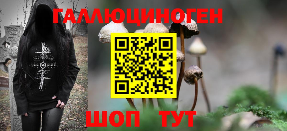 Галлюциногенные грибы GOLDEN TEACHER  Вход с VPN  Псилоцибиновые грибы MAGIC MUSHROOMS  Торжок 